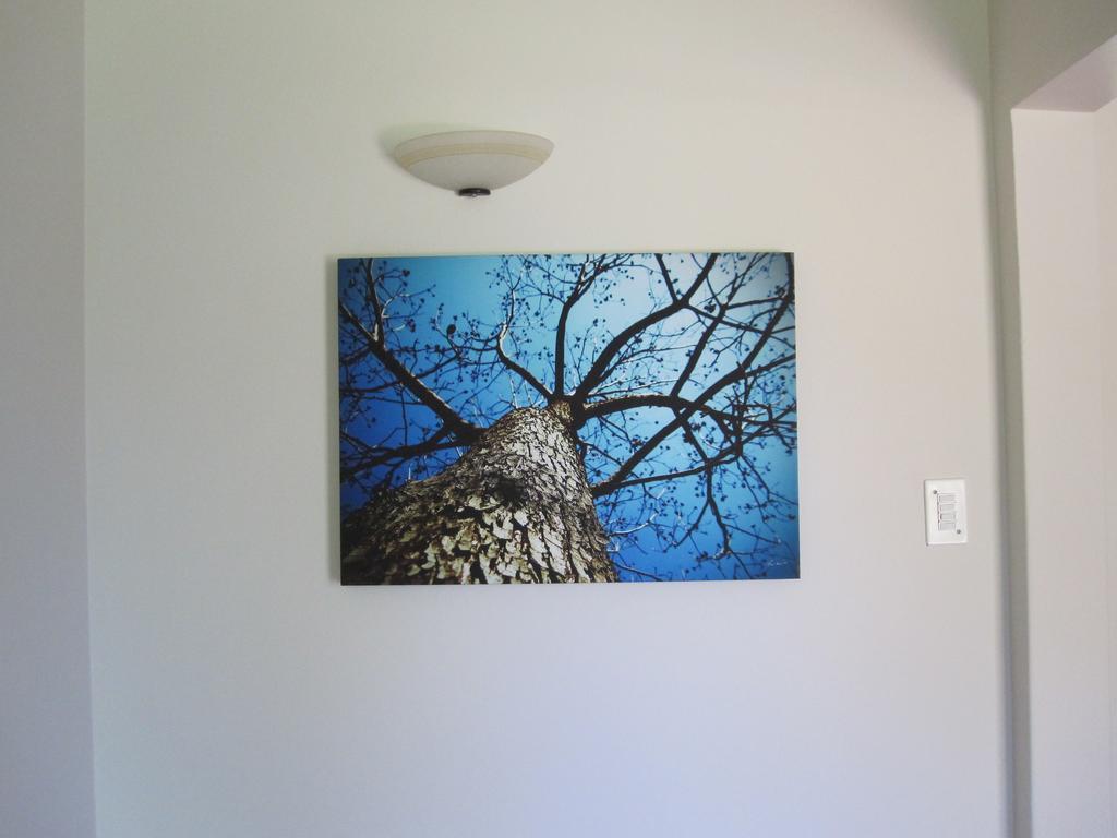 The Pecan Tree Guesthouse Sandton Eksteriør billede